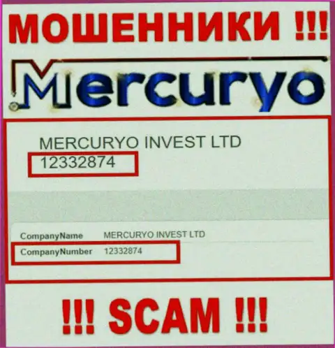 Регистрационный номер противоправно действующей организации Меркурио: 12332874