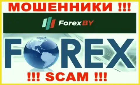 Будьте весьма внимательны, сфера деятельности Forex BY, Форекс - это лохотрон !!!
