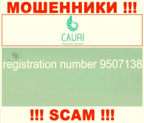 Номер регистрации, который принадлежит незаконно действующей организации Каури Ком: 9507138
