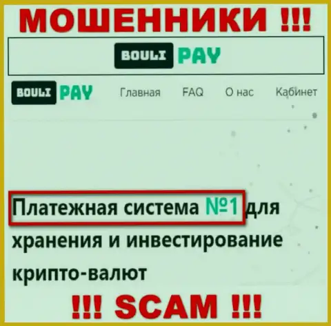 Основная работа Bouli Pay - Платежная система, будьте очень внимательны, промышляют незаконно