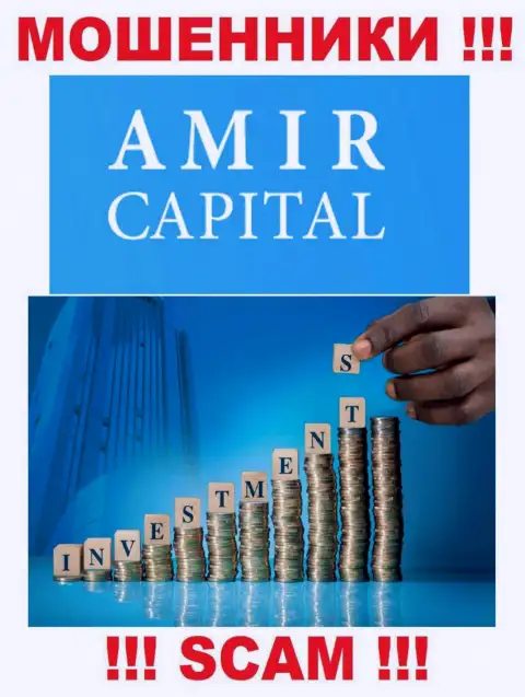 Не вводите финансовые средства в Amir Capital, направление деятельности которых - Инвестирование