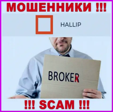 Сфера деятельности мошенников Hallip Com - это Брокер, но помните это развод !!!