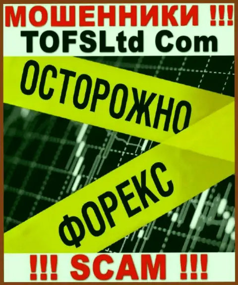 Будьте очень осторожны, вид деятельности TOFSLtd, Forex - это разводняк !