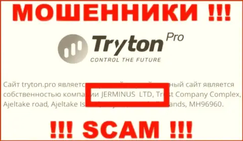 Данные о юридическом лице Тритон Про - им является организация Jerminus LTD