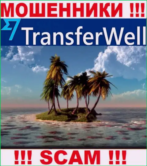 Не попадите на удочку кидал TransferWell - скрыли сведения о адресе регистрации