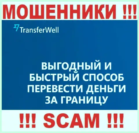 Не стоит верить, что работа TransferWell Net в области Система платежей легальна