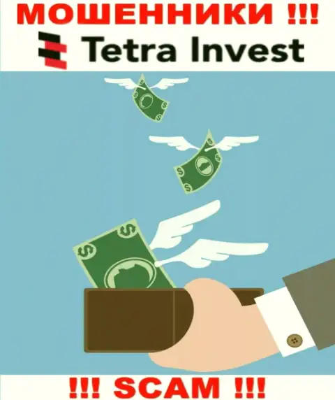 Если ждете заработок от взаимодействия с компанией Tetra Invest, то не дождетесь, эти internet-мошенники обуют и Вас