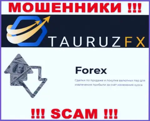 Forex - это то, чем промышляют internet мошенники Тауруз ФИкс
