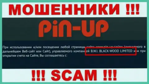 Ворюги PinUp Casino принадлежат юридическому лицу - B.W.I. BLACK-WOOD LIMITED