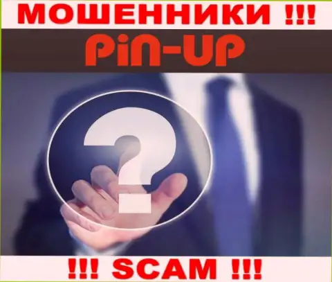 Не работайте совместно с мошенниками PinUpCasino - нет информации об их прямом руководстве