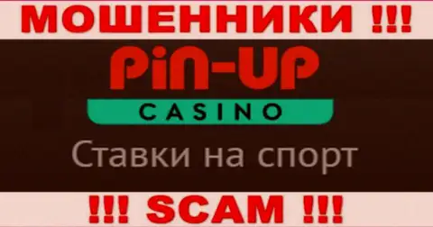 Основная работа Pin-Up Casino - это Казино, будьте очень внимательны, промышляют противоправно