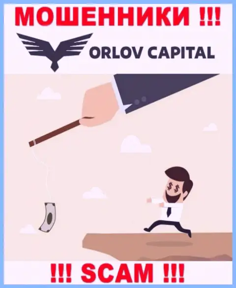 Не доверяйте Орлов Капитал - берегите свои финансовые активы
