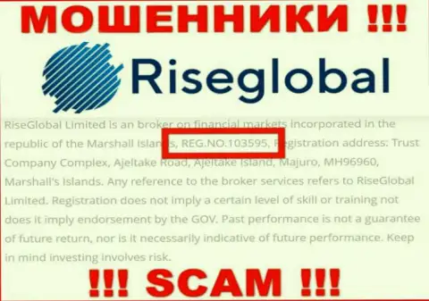 Рег. номер RiseGlobal Us, который обманщики показали у себя на веб странице: 103595