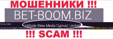 Юридическим лицом, владеющим internet мошенниками Bet-Boom Biz, является Хиллсиде (Нью Медиа Кипр) Лтд