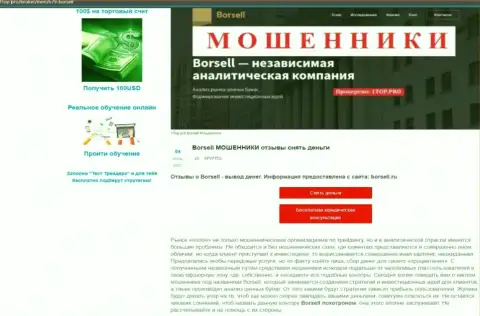 Обзор неправомерных действий scam-проекта Borsell - МОШЕННИКИ !!!
