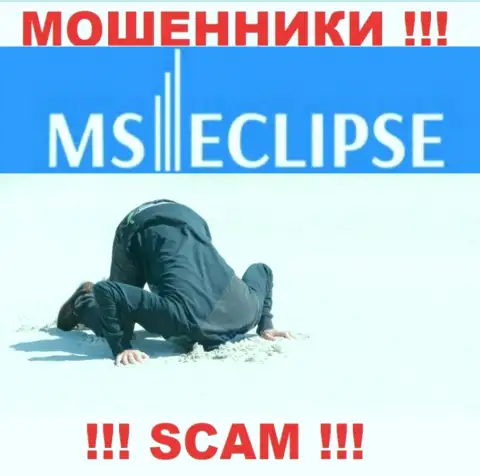 С MSEclipse довольно-таки рискованно взаимодействовать, так как у компании нет лицензии и регулятора