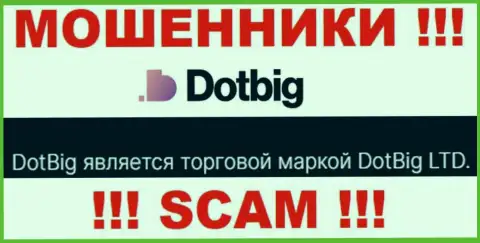 DotBig - юридическое лицо интернет-мошенников организация DotBig LTD