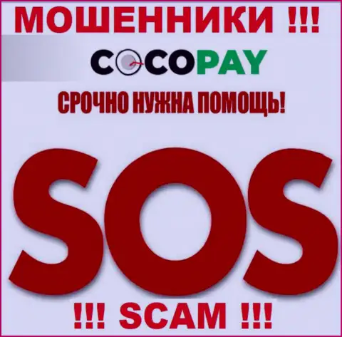 Можно еще попробовать вернуть финансовые активы из конторы Coco-Pay Com, обращайтесь, разузнаете, как действовать