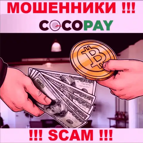 Не советуем доверять депозиты Coco Pay Com, так как их область деятельности, Обменник, обман