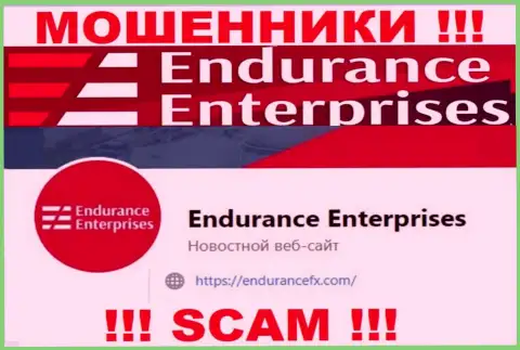 Установить контакт с интернет мошенниками из организации Endurance Enterprises Вы сможете, если отправите письмо на их е-мейл