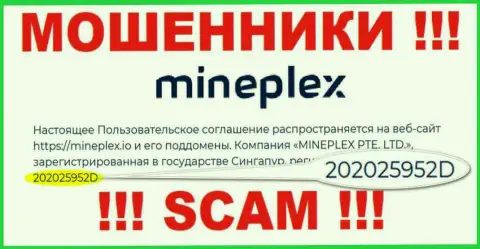 Рег. номер очередной неправомерно действующей организации MinePlex Io - 202025952D