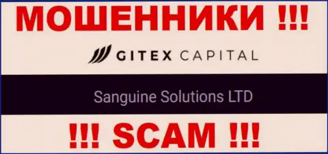 Юр. лицо GitexCapital - это Sanguine Solutions LTD, такую информацию представили мошенники у себя на web-сервисе