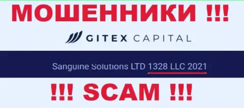 Регистрационный номер компании Gitex Capital: 1328LLC2021