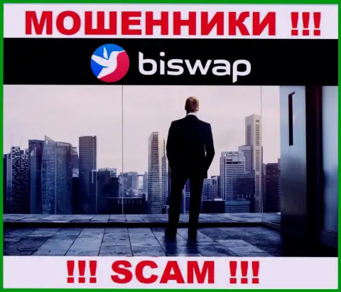 Кто конкретно руководит интернет-кидалами BiSwap Org неясно