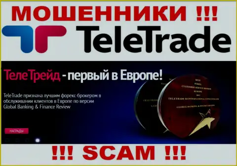 Форекс - в этой сфере действуют профессиональные интернет ворюги TeleTrade Ru