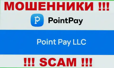 Организация Point Pay LLC находится под крылом компании Поинт Пэй ЛЛК
