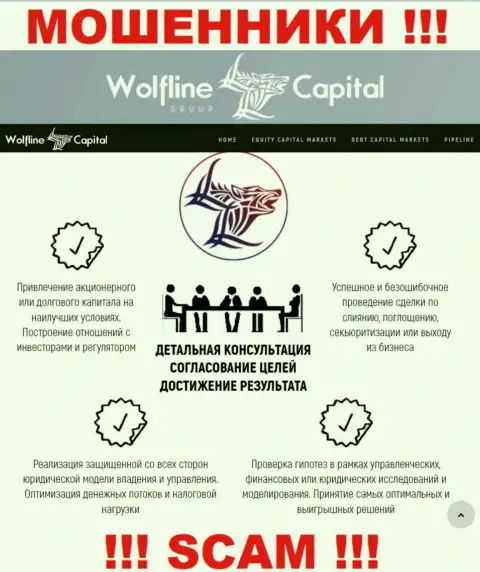 Не верьте, что сфера работы Wolfline Capital - Финансовый консалтинг законна это надувательство