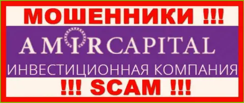 Лого ЖУЛИКОВ AmirCapital