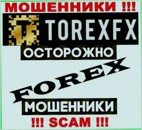 Тип деятельности Torex FX: Forex - отличный доход для интернет-мошенников